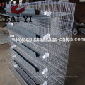 Commercial Quail Cage Design